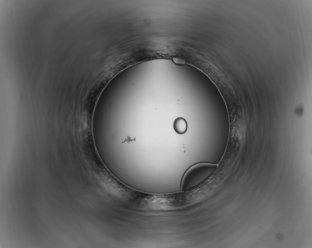 X0000100470518200806131130