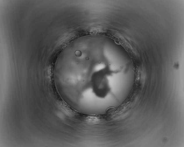 X0000100470519200806131130