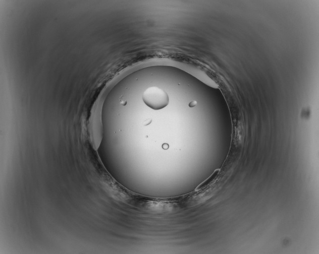 X0000100470520200806131130