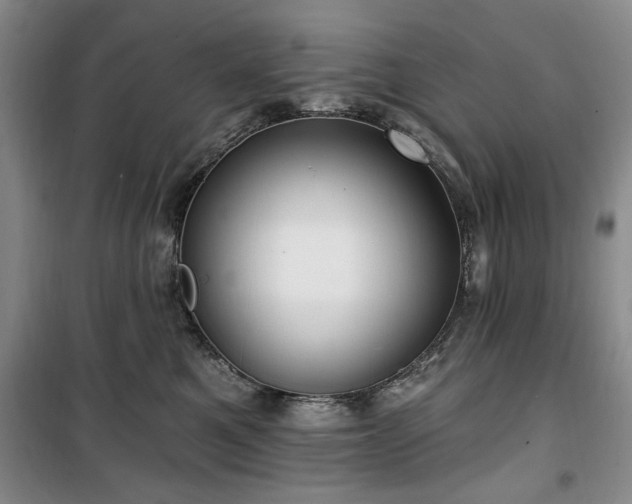 X0000100470521200806131130