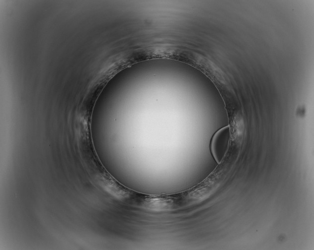 X0000100470522200806131130