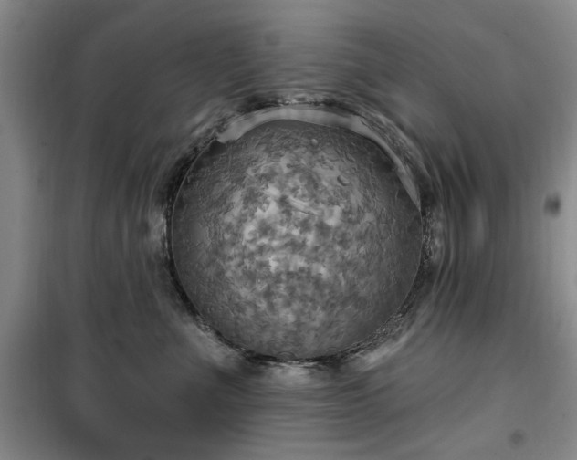 X0000100470523200806131130