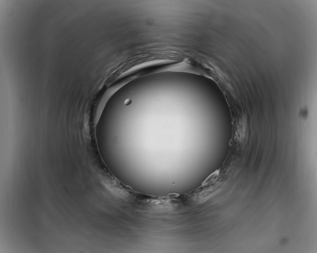 X0000100470524200806131130