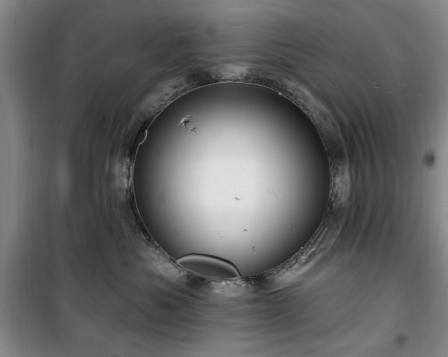 X0000100470525200806131130