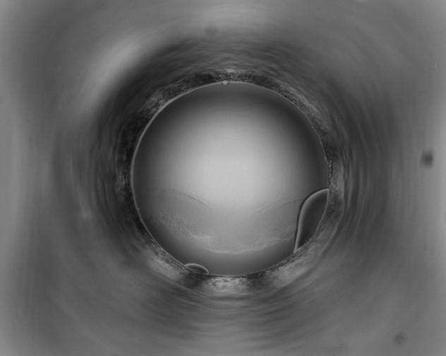 X0000100470526200806131130