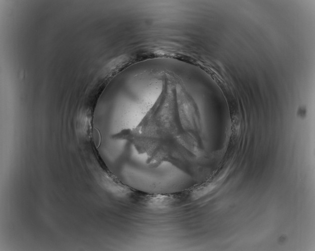 X0000100470527200806131130