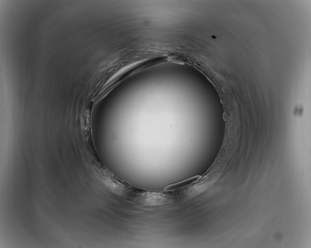 X0000100470528200806131130