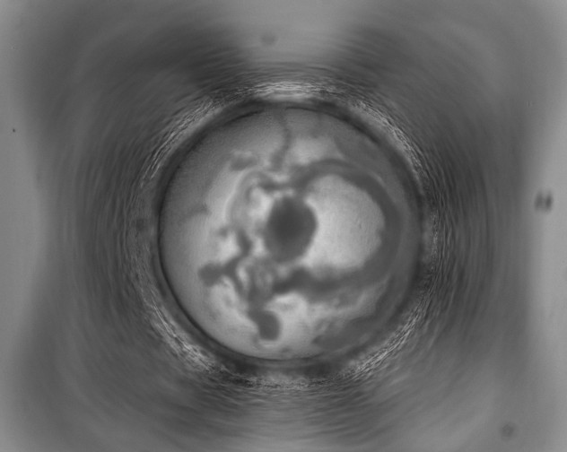 X0000100470529200806131129