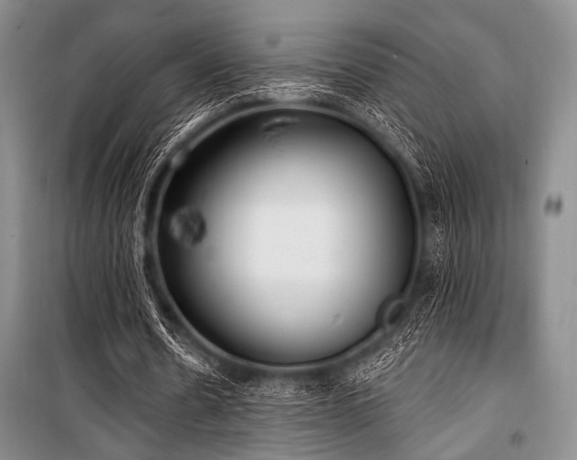 X0000100470530200806131129