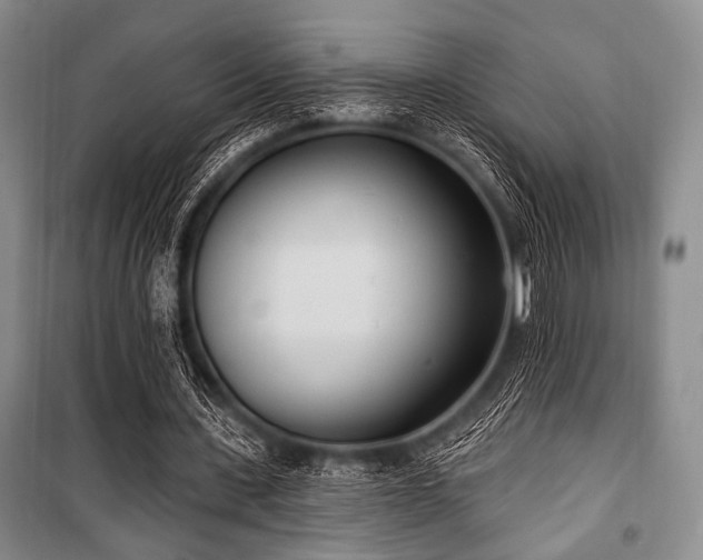 X0000100470531200806131129