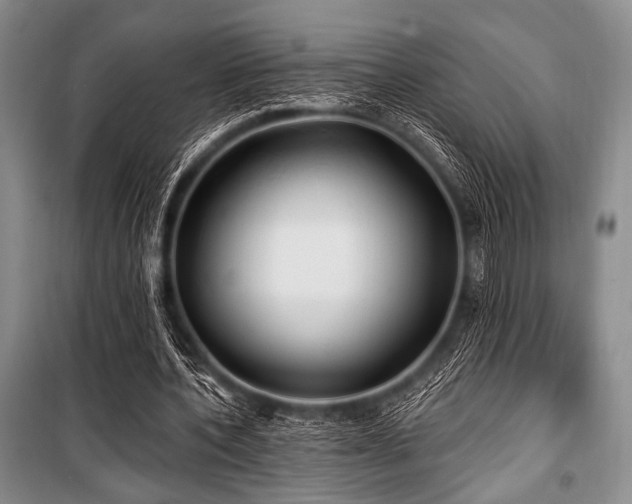 X0000100470532200806131129