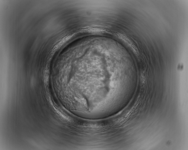 X0000100470533200806131129