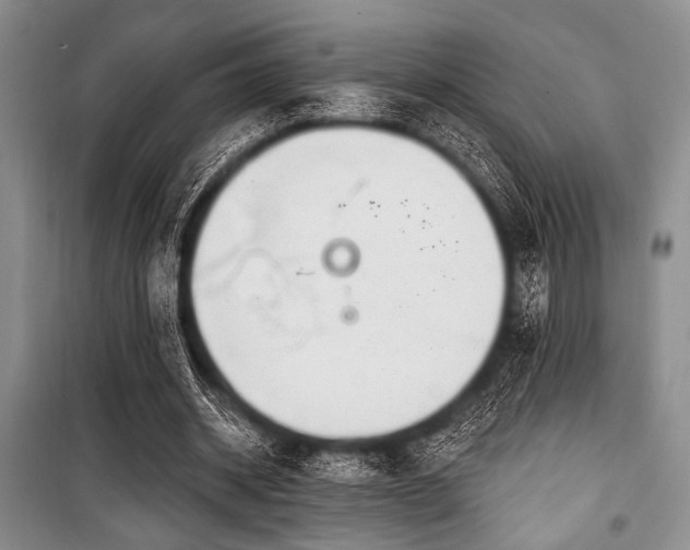 X0000100470534200806131129