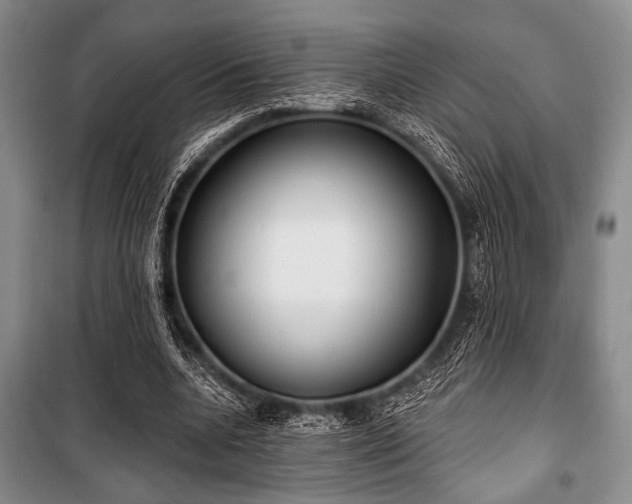 X0000100470536200806131129