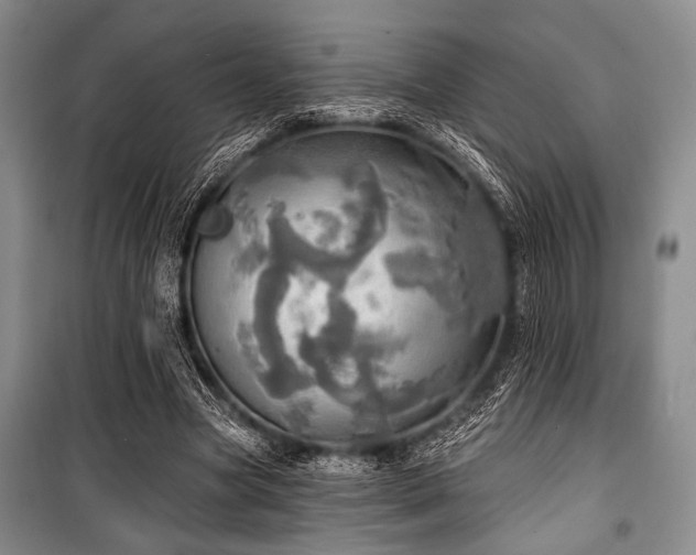 X0000100470537200806131129