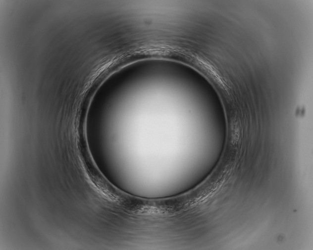 X0000100470538200806131129