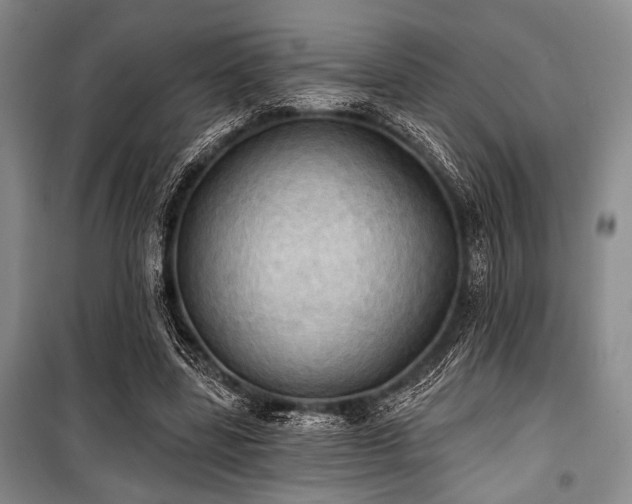 X0000100470539200806131129