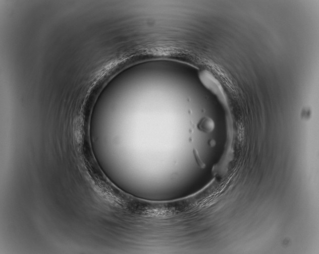 X0000100470540200806131129