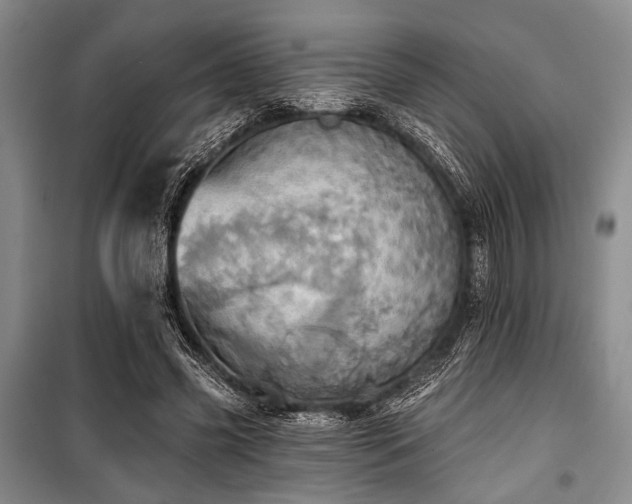 X0000100470541200806131129