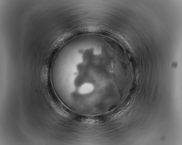 X0000100470542200806131129