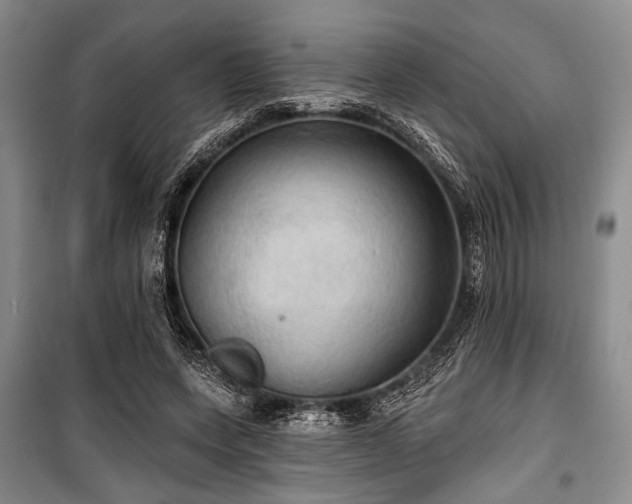 X0000100470543200806131129