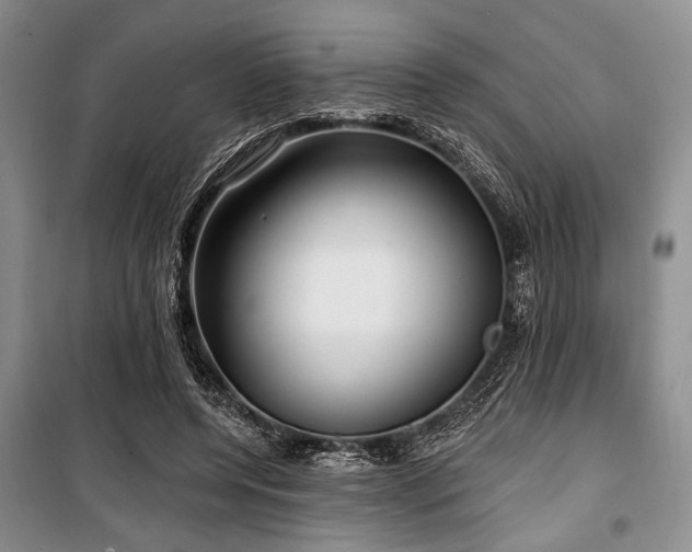 X0000100470544200806131129