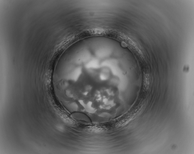 X0000100470545200806131129