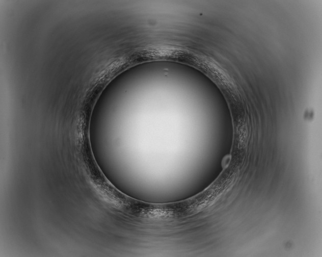 X0000100470546200806131129