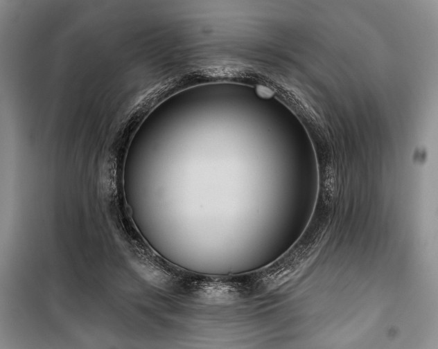 X0000100470547200806131129