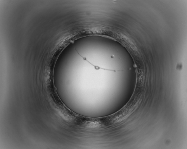 X0000100470548200806131129