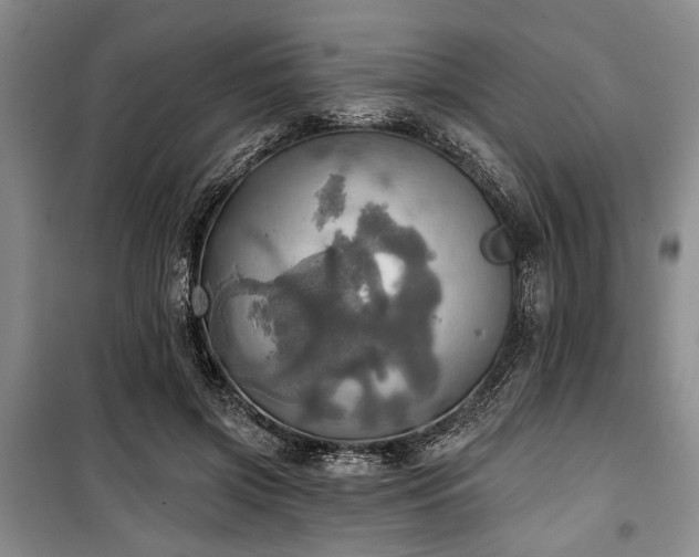 X0000100470549200806131129