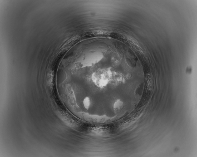 X0000100470550200806131129