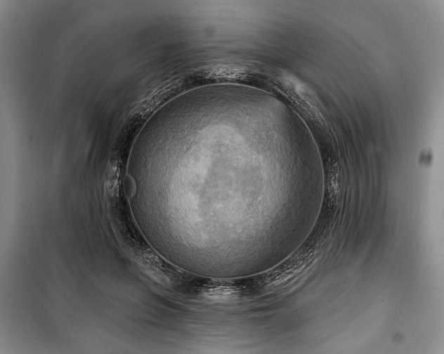 X0000100470551200806131129