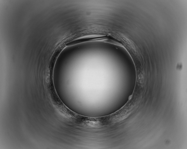 X0000100470552200806131129