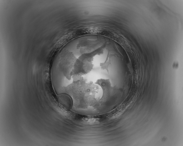 X0000100470553200806131129