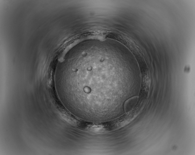 X0000100470554200806131129