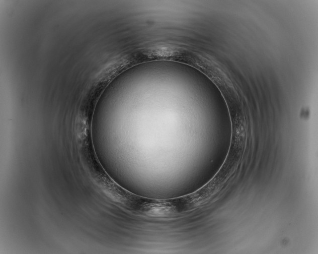 X0000100470555200806131129