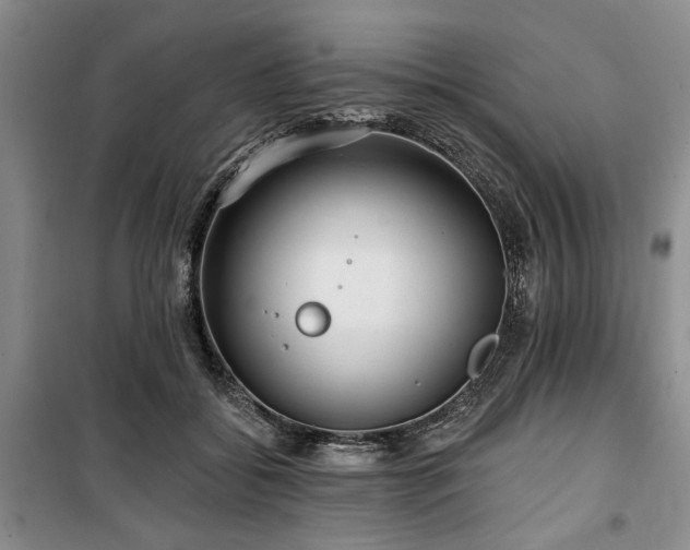 X0000100470556200806131129