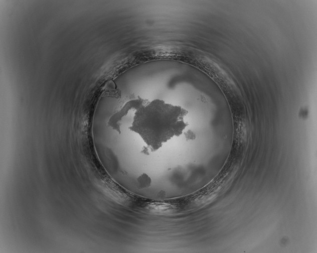 X0000100470557200806131129