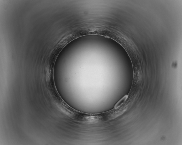 X0000100470558200806131129