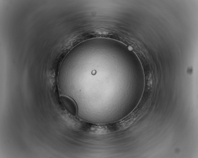 X0000100470559200806131129