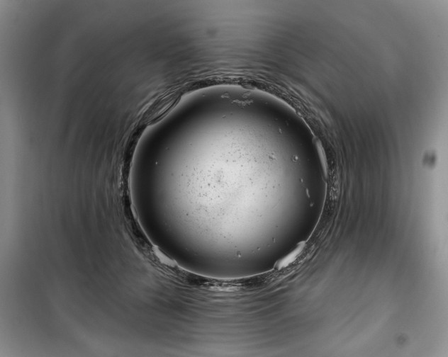 X0000100470560200806131129