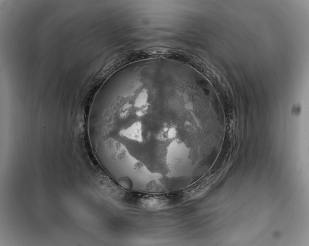 X0000100470561200806131129