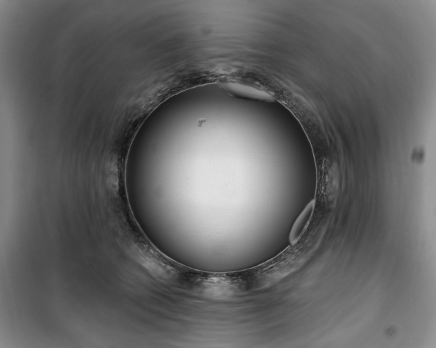 X0000100470562200806131129