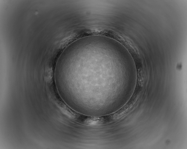 X0000100470563200806131129