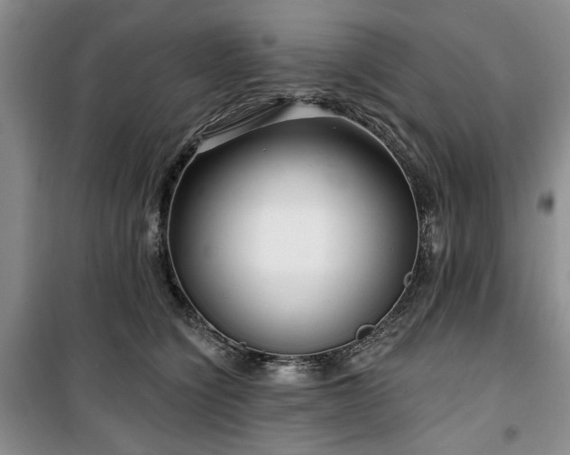 X0000100470564200806131129