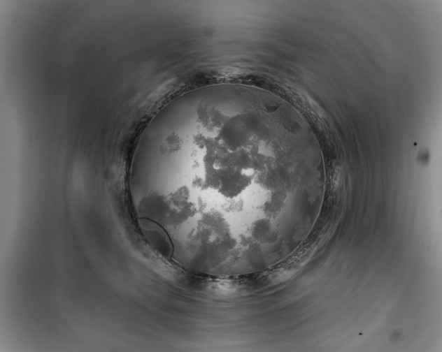 X0000100470565200806131129