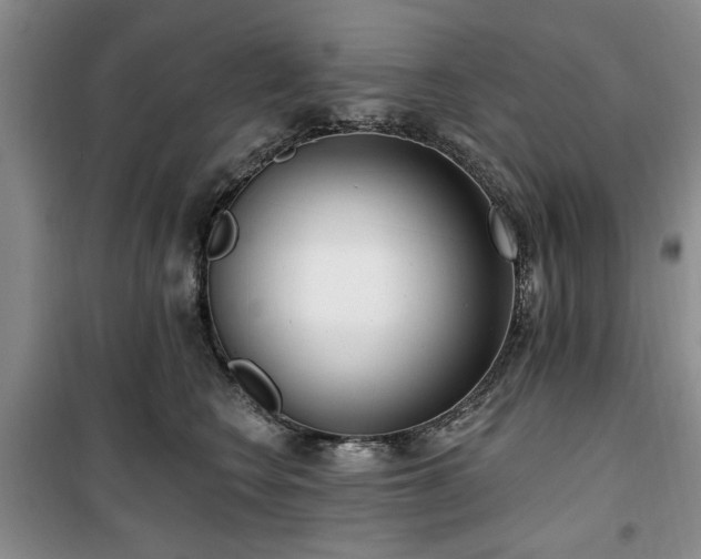 X0000100470566200806131129