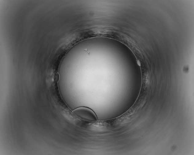 X0000100470567200806131129