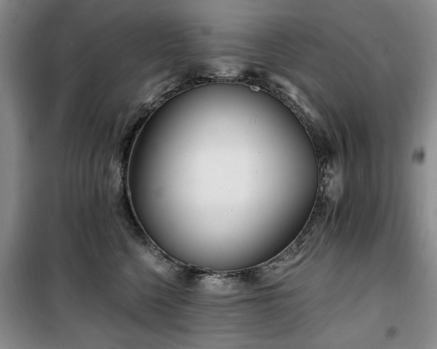 X0000100470568200806131129